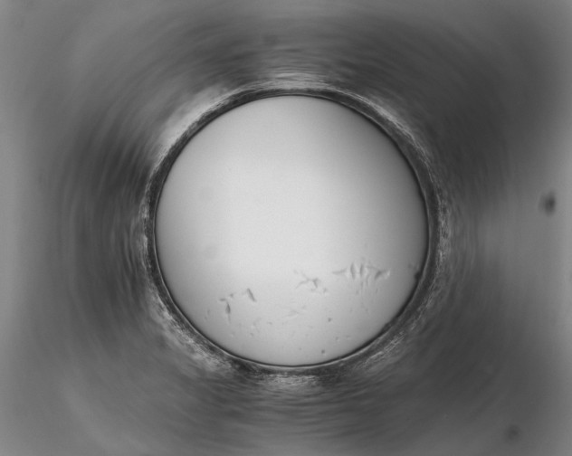 X0000116261325200912211728