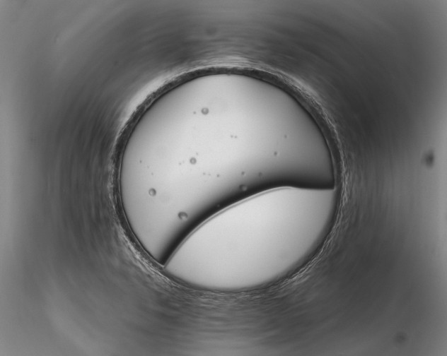X0000116261326200912211728