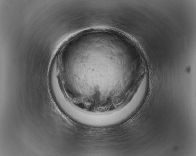 X0000116261327200912211728