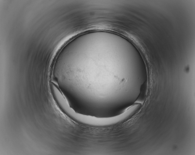 X0000116261331200912211728