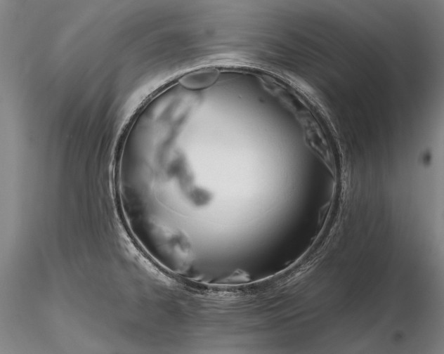 X0000116261334200912211728