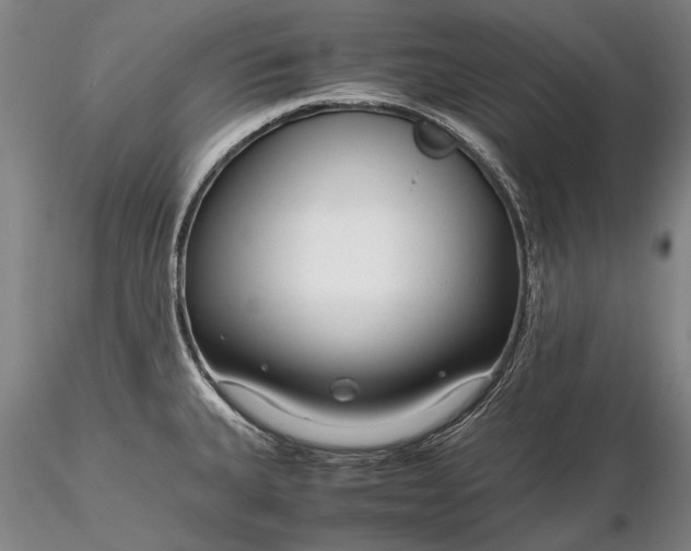 X0000116261335200912211728
