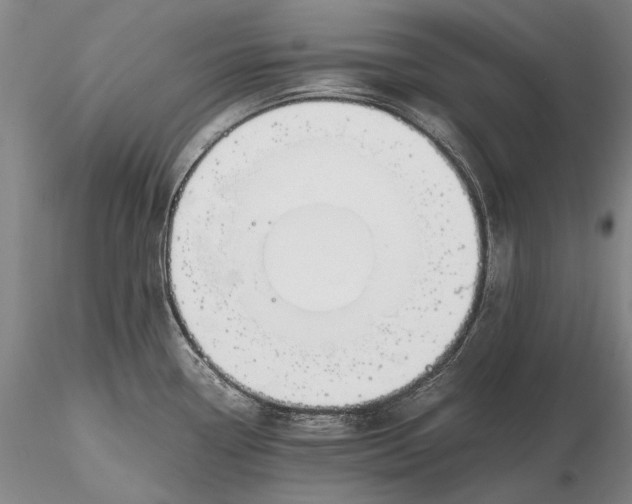 X0000116261338200912211728