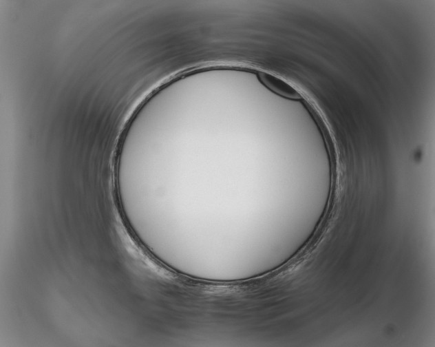X0000116261341200912211728