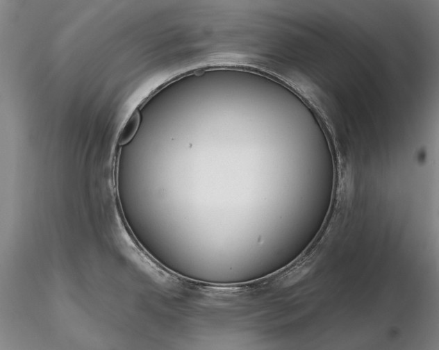 X0000116261342200912211728