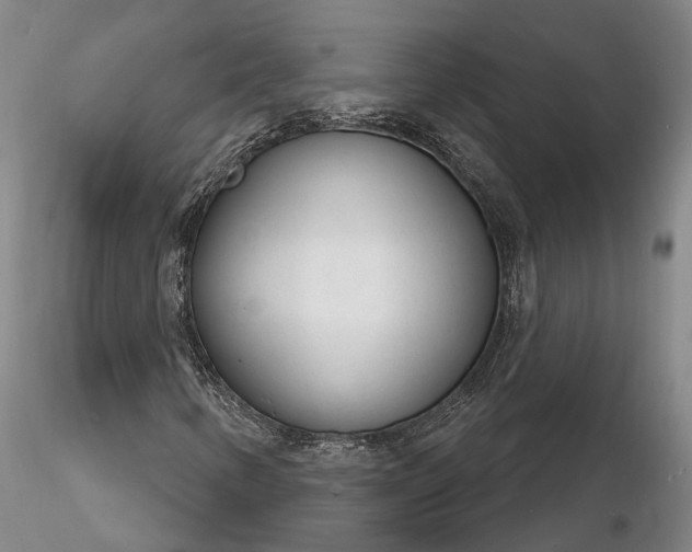 X0000116261346200912211728