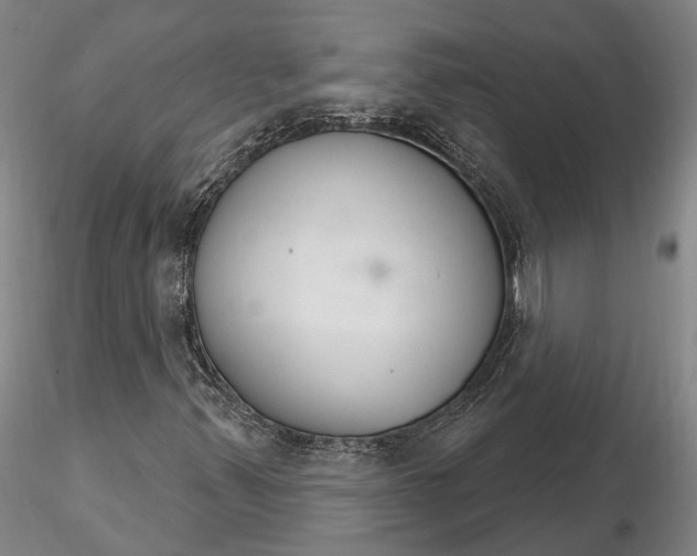 X0000116261347200912211728