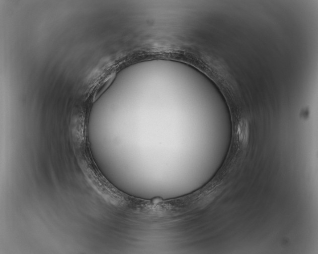X0000116261348200912211728