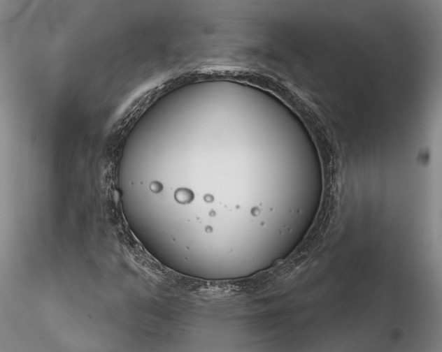 X0000116261351200912211728