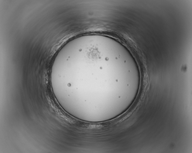 X0000116261353200912211728