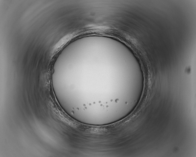 X0000116261354200912211728