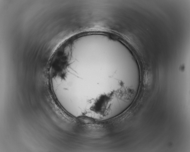X0000116261356200912211728