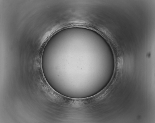 X0000116261357200912211728