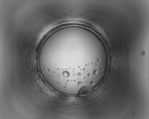 X0000116261360200912211728