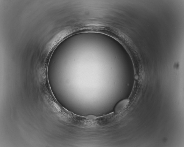 X0000116261362200912211728