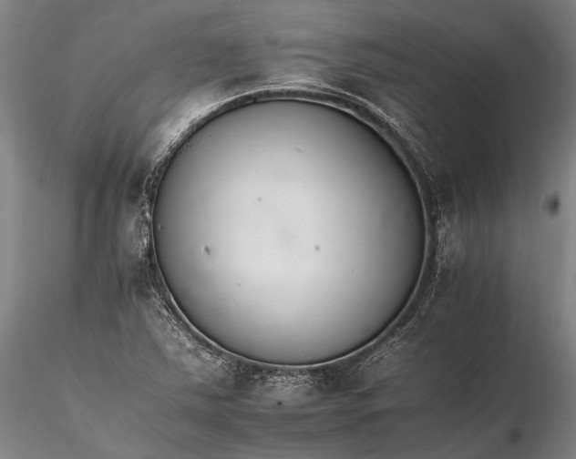 X0000116261363200912211727