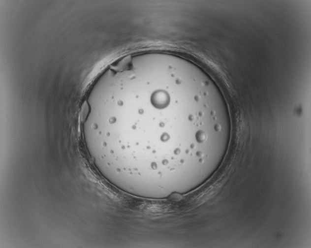 X0000116261365200912211727