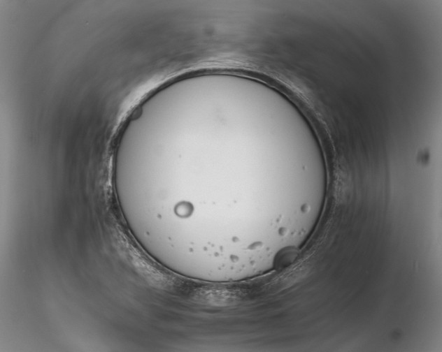 X0000116261366200912211727