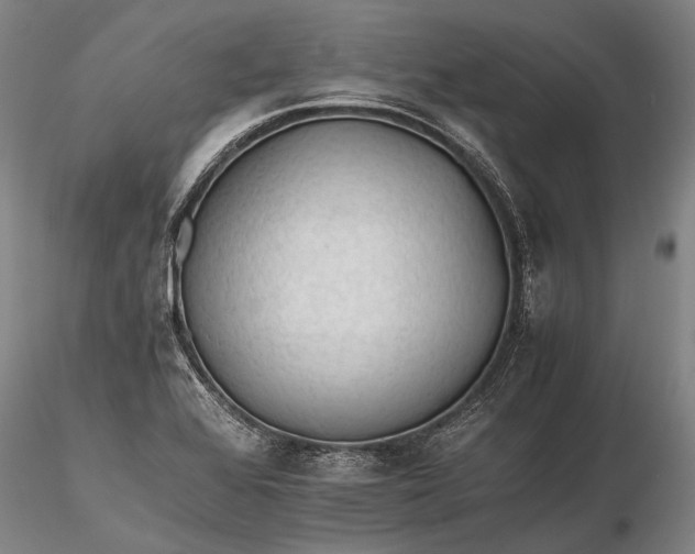 X0000116261368200912211727