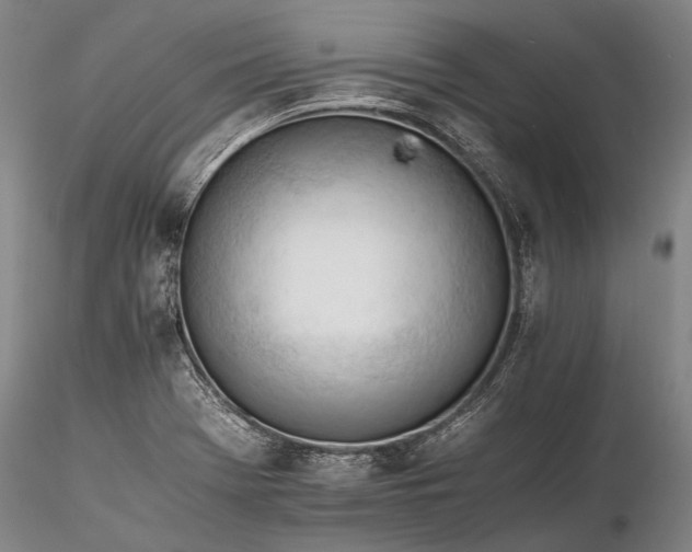 X0000116261369200912211727