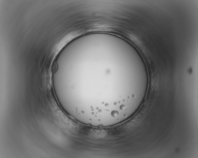 X0000116261370200912211727