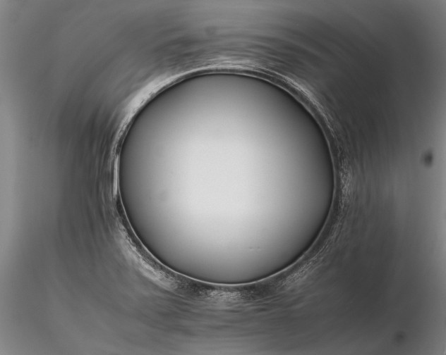X0000116261371200912211727