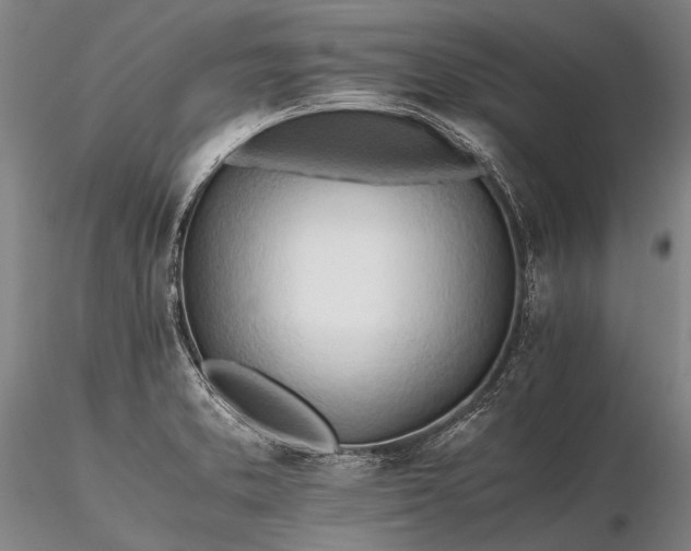 X0000116261373200912211727