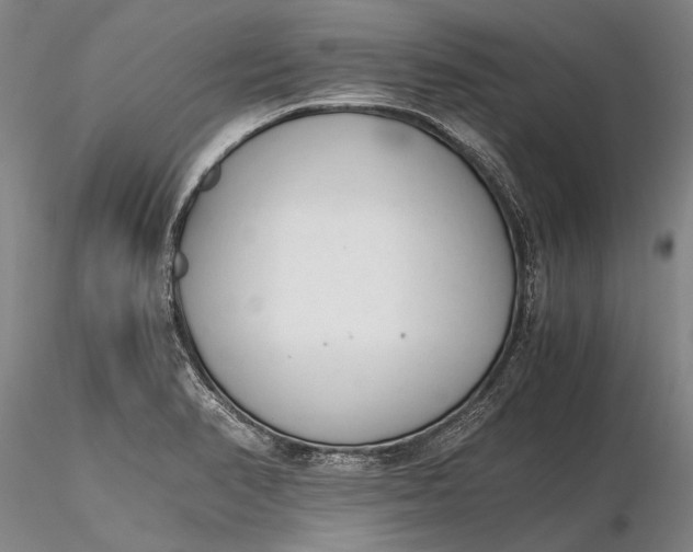 X0000116261374200912211727