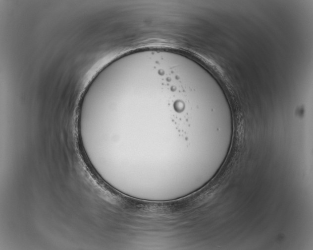 X0000116261375200912211727