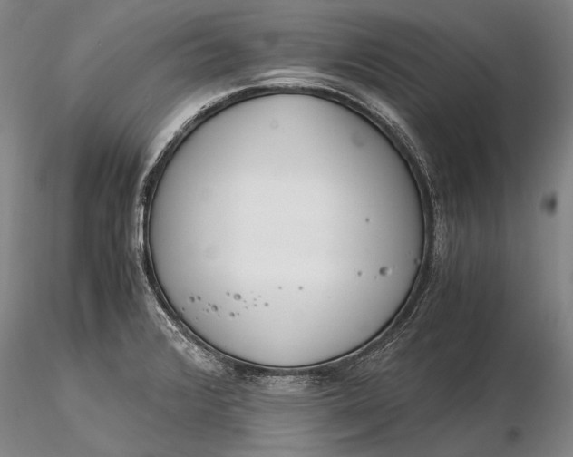 X0000116261376200912211727