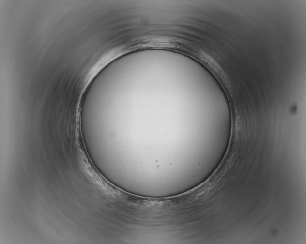 X0000116261378200912211727