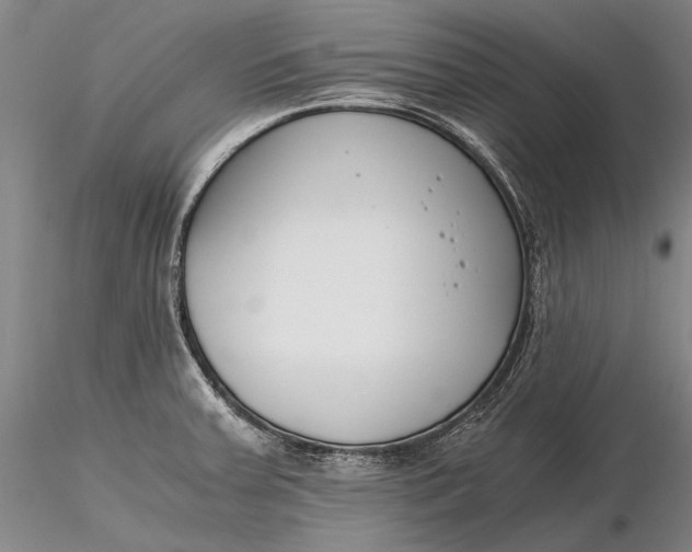 X0000116261379200912211727