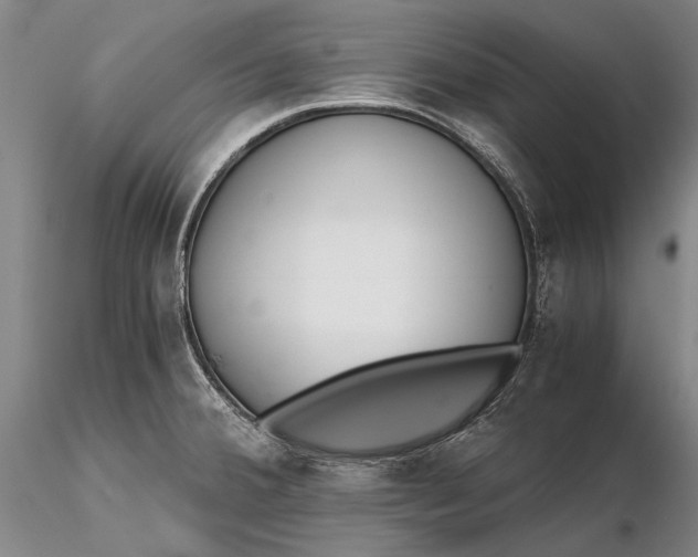X0000116261380200912211727