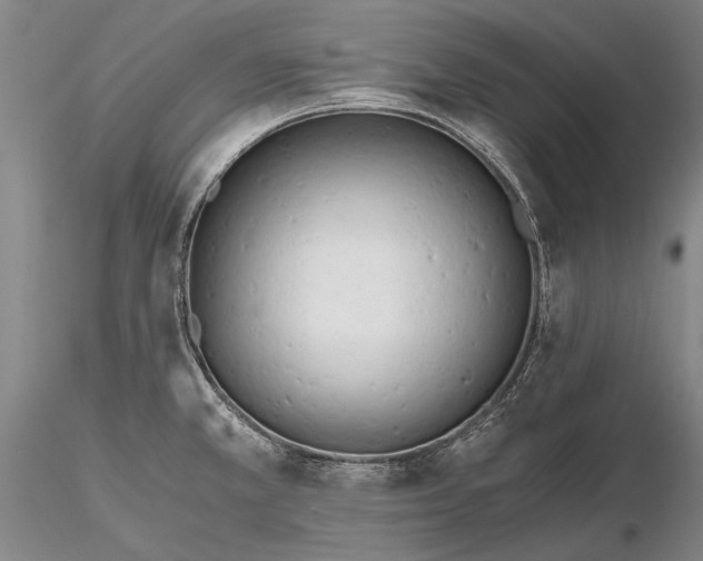 X0000116261381200912211727