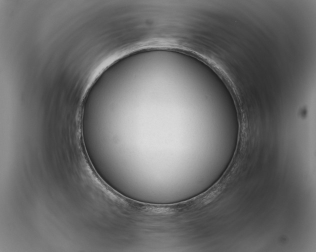 X0000116261382200912211727