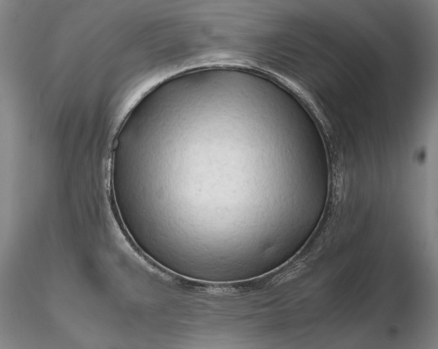 X0000116261383200912211727