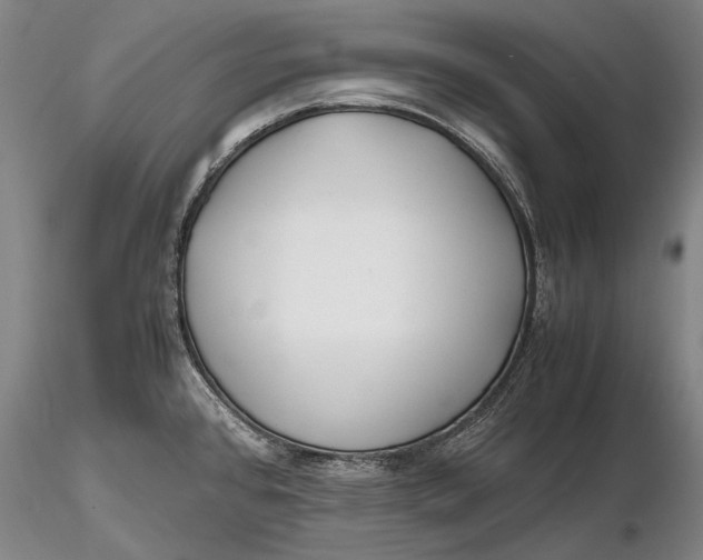 X0000116261384200912211727