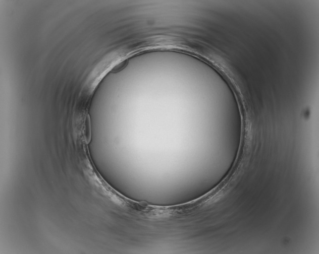 X0000116261385200912211727