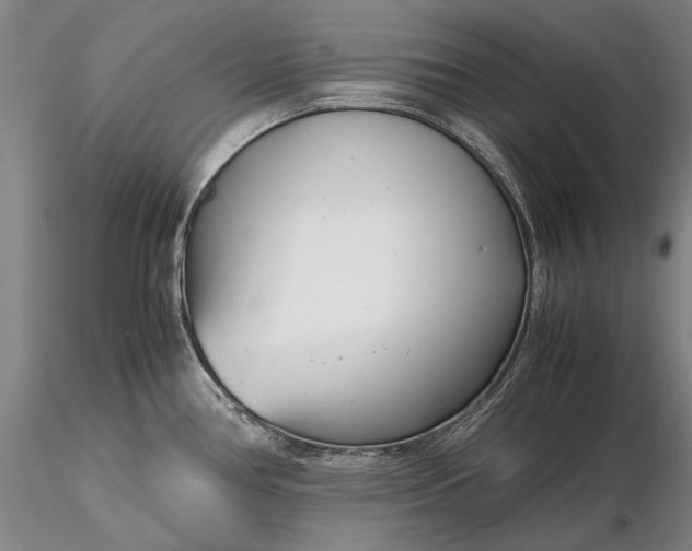 X0000116261386200912211727