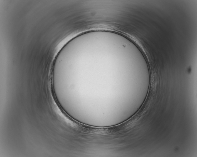 X0000116261387200912211727