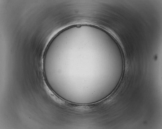 X0000116261388200912211727