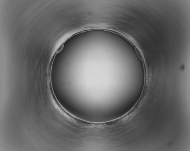 X0000116261389200912211727