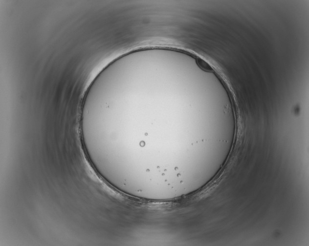 X0000116261390200912211727