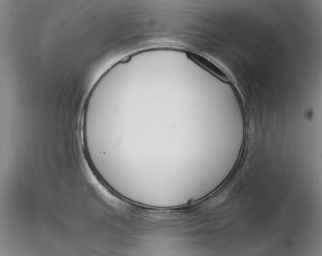 X0000116261391200912211727