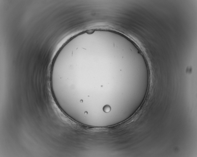 X0000116261392200912211727