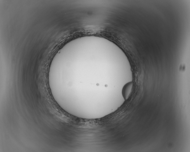 X0000116261393200912211726