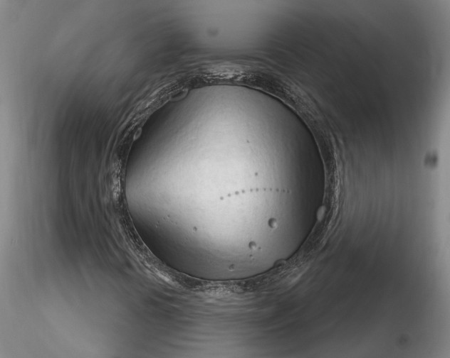 X0000116261394200912211726