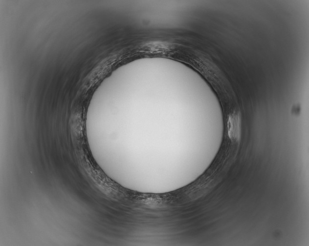 X0000116261395200912211726