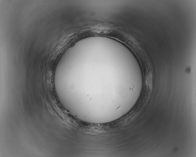 X0000116261396200912211726
