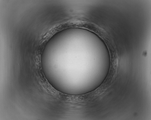 X0000116261397200912211727